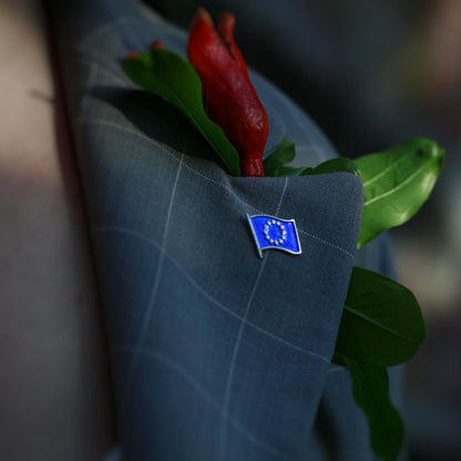 ევროკავშირის დროშის პინი ცვარა
